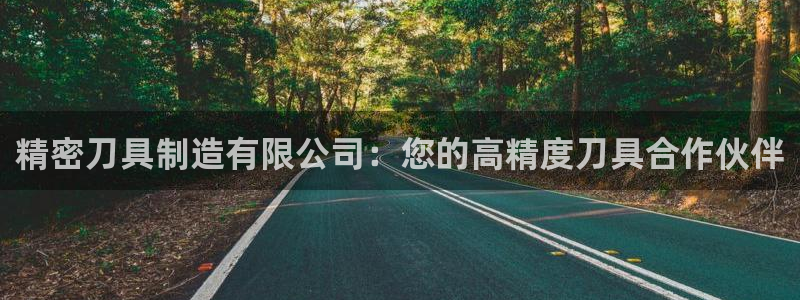 彩神v8有多久了?靠谱吗：精密刀具制造有限公司：您的高精度刀具合作伙伴