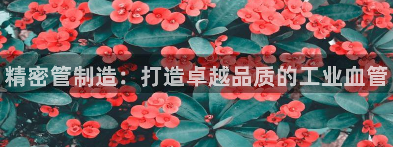 彩神v8下载app：精密管制造：打造卓越品质的工业血管
