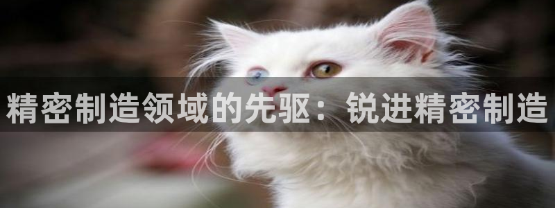 彩神 好 平台：精密制造领域的先驱：锐进精密制造