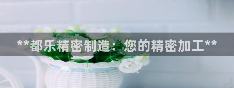 彩神争霸官网登录平台：**都乐精密制造：您的精密加工**