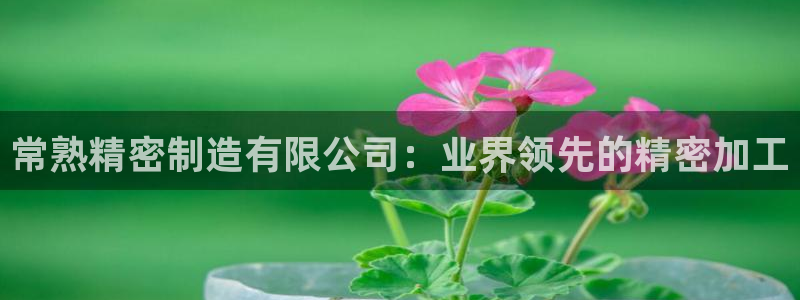彩神系列平台：常熟精密制造有限公司：业界领先的精密加工