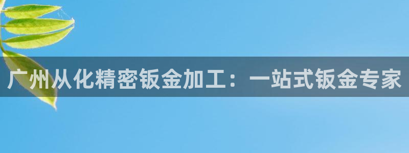 彩神的邀请码是多少：广州从化精密钣金加工：一站式钣金专家