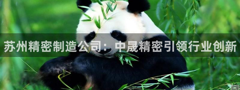 彩神 好 平台：苏州精密制造公司：中晟精密引领行业创新