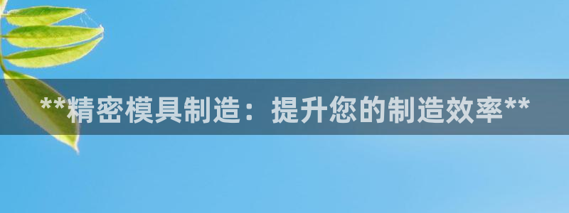 彩神Vll购彩大厅：**精密模具制造：提升您的制造效率**