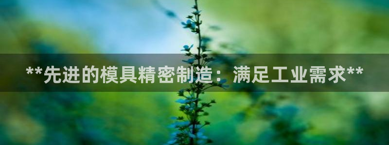 彩神用户登录：**先进的模具精密制造：满足工业需求**