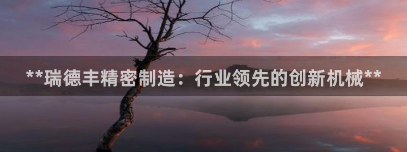 彩神大发云：**瑞德丰精密制造：行业领先的创新机械**