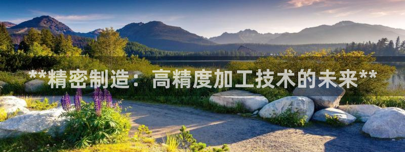 彩神8购彩-购彩大厅：**精密制造：高精度加工技术的未来**