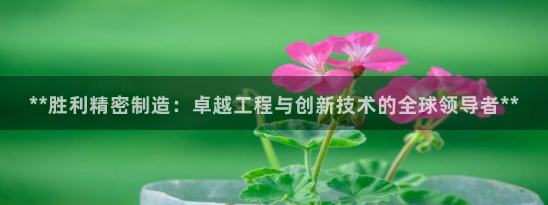 彩神趣购彩用户注册：**胜利精密制造：卓越工程与创新技术的全球领导者**