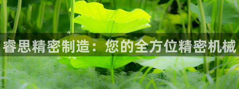 彩神购彩-购彩大厅入口计划群：睿思精密制造：您的全方位精密机械