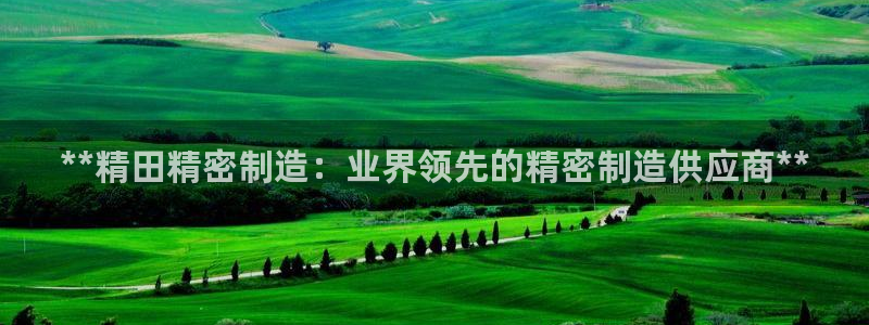 彩神vllⅰ购彩大厅：**精田精密制造：业界领先的精密制造供应商**