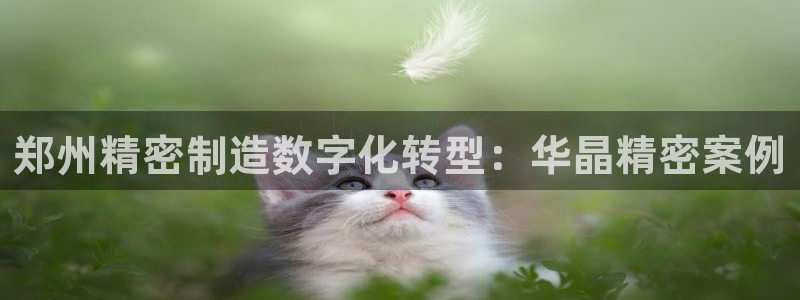 彩神v争霸是啥：郑州精密制造数字化转型：华晶精密案例
