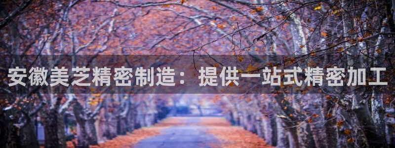 彩神ix可靠吗：安徽美芝精密制造：提供一站式精密加工