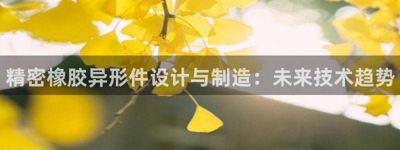 彩神app赚钱是真是假：精密橡胶异形件设计与制造：未来技术趋势