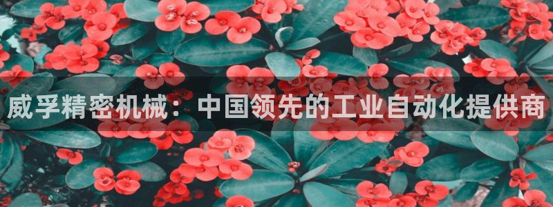 彩神v8平台正规吗安全吗：威孚精密机械：中国领先的工业自动化提供商