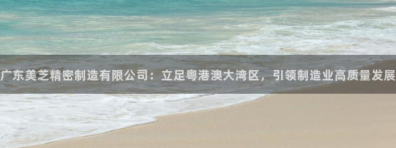 彩神ios下载：广东美芝精密制造有限公司：立足粤港澳大湾区，引领制造业高质量发展