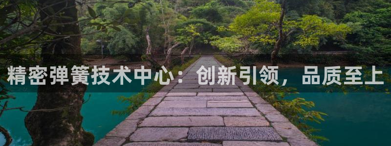 新版彩神v8登录：精密弹簧技术中心：创新引领，品质至上