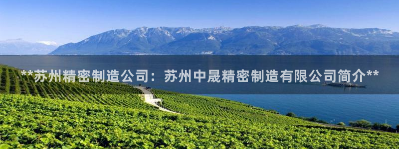 彩神是什么平台：**苏州精密制造公司：苏州中晟精密制造有限公司简介**