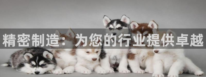 彩神大发云：精密制造：为您的行业提供卓越