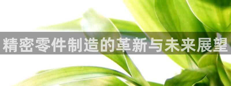 彩神VII购彩中心：精密零件制造的革新与未来展望