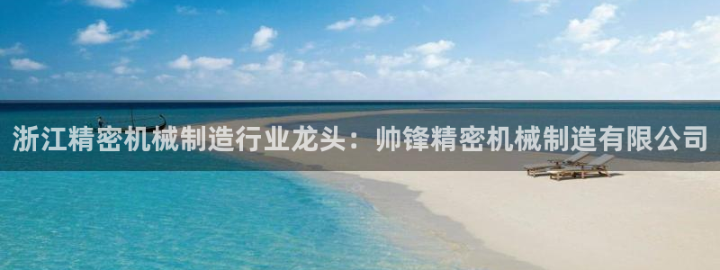 彩神v1官网：浙江精密机械制造行业龙头：帅锋精密机械制造有限公司