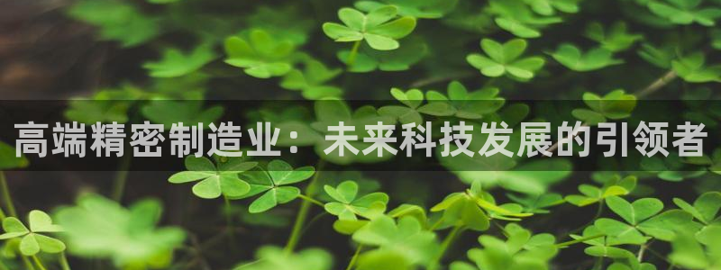新版彩神v8登录教程：高端精密制造业：未来科技发展的引领者