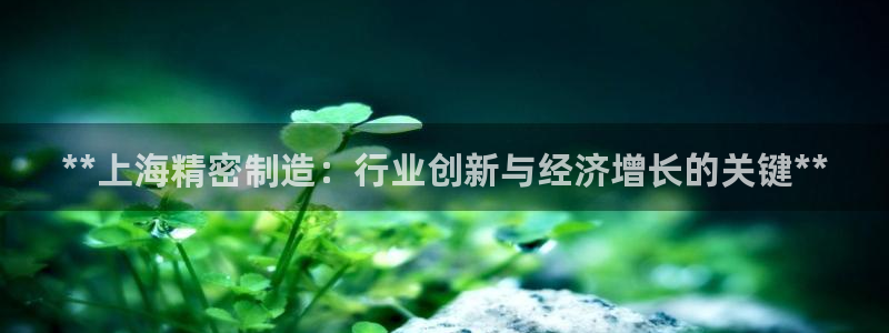 彩神vll官网在线登录：**上海精密制造：行业创新与经济增长的关键**