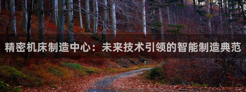 彩神8app官方下载：精密机床制造中心：未来技术引领的智能制造典范