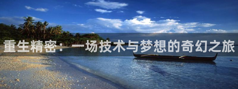 彩神v8平台正规吗知乎：重生精密：一场技术与梦想的奇幻之旅