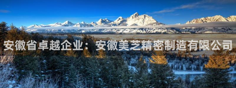 下载彩神争霸谁与我争锋：安徽省卓越企业：安徽美芝精密制造有限公司