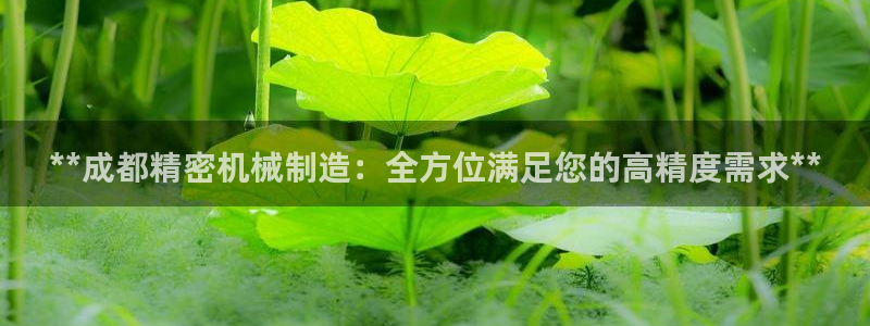 新版彩神v8登录：**成都精密机械制造：全方位满足您的高精度需求**