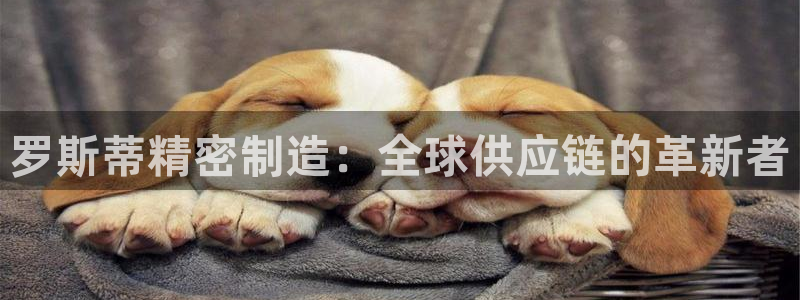 彩神v彩搜狗：罗斯蒂精密制造：全球供应链的革新者