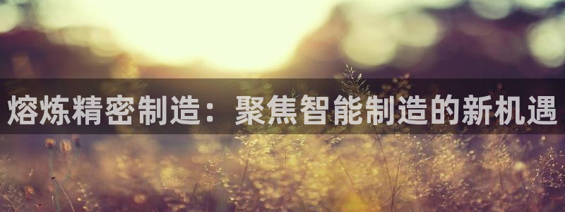 在彩神网输了六万多怎么拿回来：熔炼精密制造：聚焦智能制造的新机遇