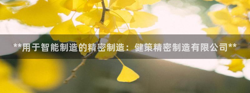 天天赢彩神：**用于智能制造的精密制造：健策精密制造有限公司**