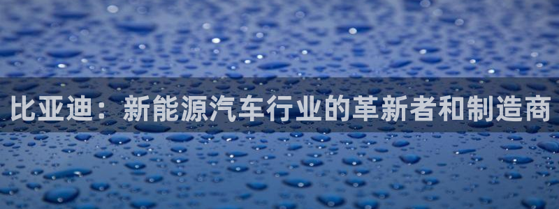 彩神大发云：比亚迪：新能源汽车行业的革新者和制造商