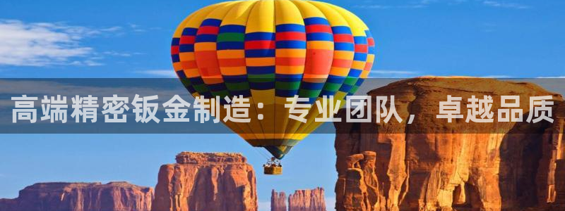 彩神vll趣投彩：高端精密钣金制造：专业团队，卓越品质