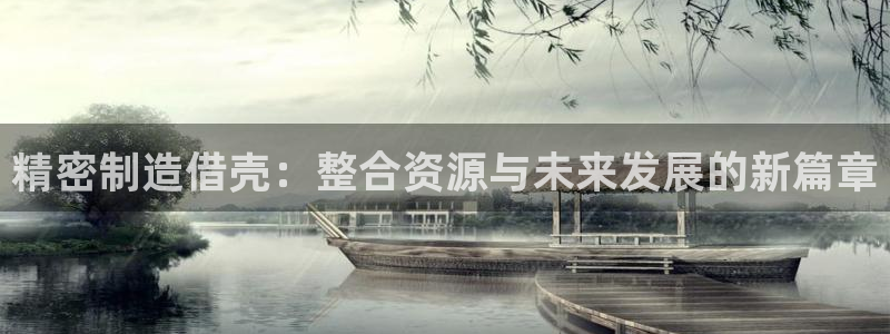 彩神8官网版是正规的吗：精密制造借壳：整合资源与未来发展的新篇章