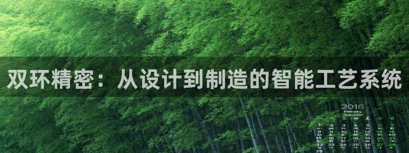 彩神ix是真的吗：双环精密：从设计到制造的智能工艺系统