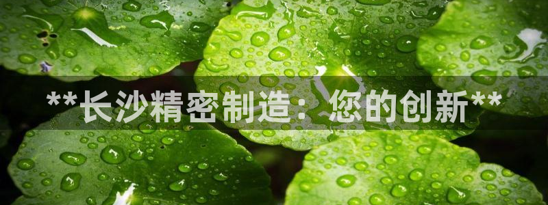 彩神8app官方下载：**长沙精密制造：您的创新**