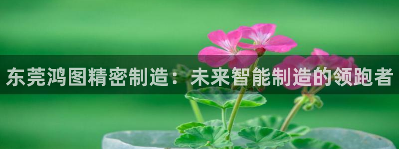 彩神v平台：东莞鸿图精密制造：未来智能制造的领跑者