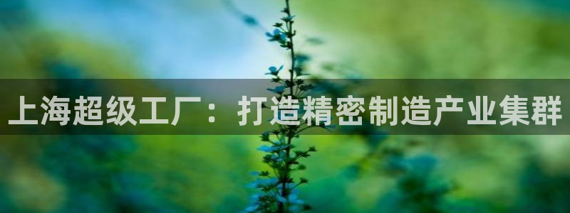 彩神velcome购彩大厅：上海超级工厂：打造精密制造产业集群