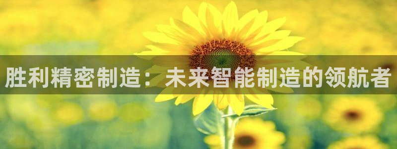 在彩神网输了六万多怎么拿回来：胜利精密制造：未来智能制造的领航者