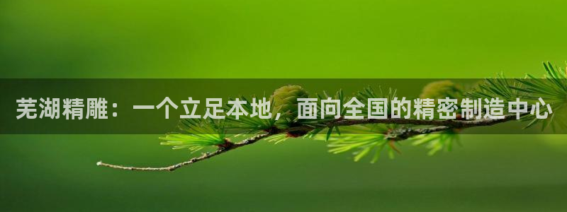 彩神v|：芜湖精雕：一个立足本地，面向全国的精密制造中心