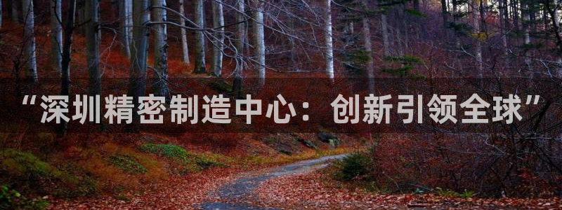 彩神通关注码金码对应码：“深圳精密制造中心：创新引领全球”