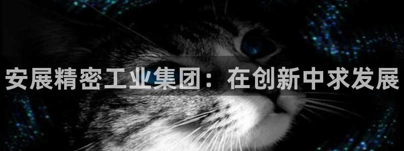 彩神ix平台：安展精密工业集团：在创新中求发展