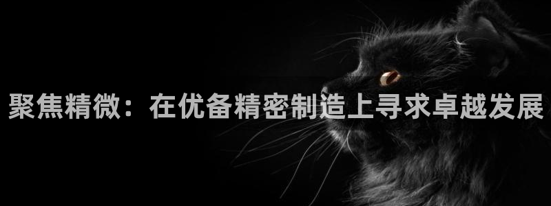 彩神VII购彩中心：聚焦精微：在优备精密制造上寻求卓越发展