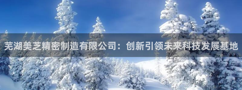 新版彩神v8登录不上去：芜湖美芝精密制造有限公司：创新引领未来科技发展基地