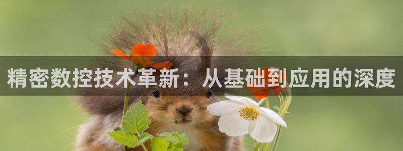彩神V8有限公司：精密数控技术革新：从基础到应用的深度