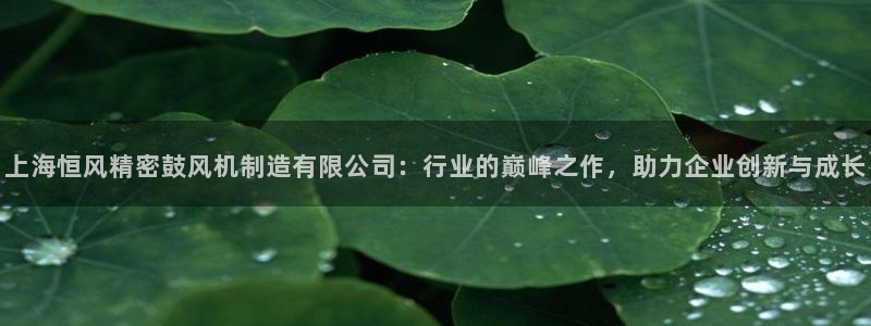 下载彩神v8：上海恒风精密鼓风机制造有限公司：行业的巅峰之作，助力企业创新与成长