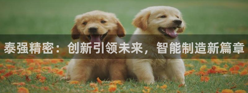 彩神是正规平台吗：泰强精密：创新引领未来，智能制造新篇章