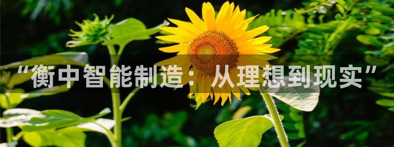 彩神购彩-购彩大厅入口下载：“衡中智能制造：从理想到现实”